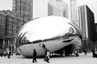 The Bean