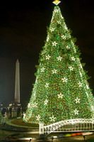 National Christmas Tree and Washington Monument