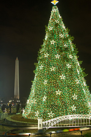 National Christmas Tree and Washington Monument