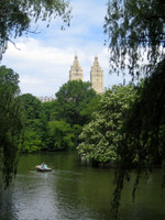 'Wind and the Willows'