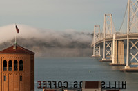 "Fog Rolling In"