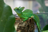 Academy of Sciences