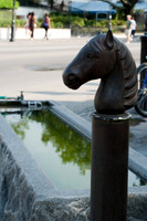 'Thirsty Horses'