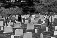 Arlington