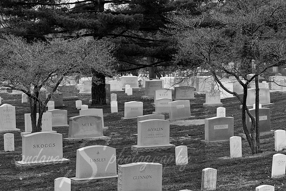 Arlington