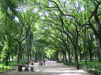 Central Park