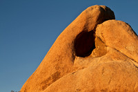 Sunrise at Joshua Tree