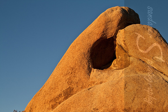 Sunrise at Joshua Tree