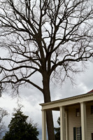 Mount Vernon