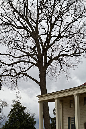 Mount Vernon