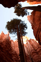 Wall Street, Bryce Canyon