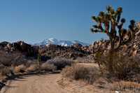 Joshua Tree National Park