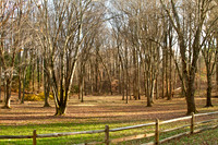 Ballantrae Lane
