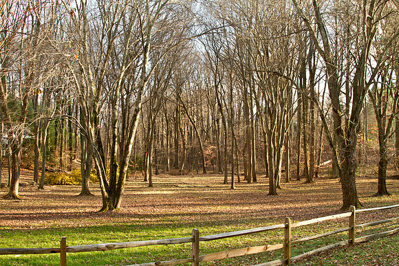 Ballantrae Lane