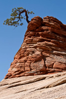 Lone Pine, Zion