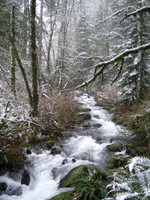 'Lost in Narnia', Portland OR