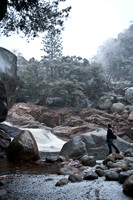 Sequoia - Kings Canyon National Park, CA