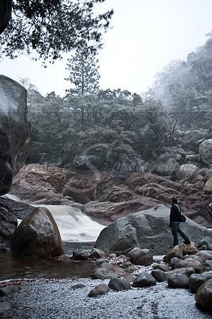 Sequoia - Kings Canyon National Park, CA