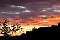 Sunset at Sequoia