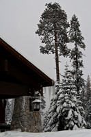 Wuksachi Lodge, Sequoia