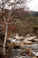 Three Rivers, CA