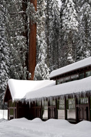 Giant Forest Museum, Sequoia