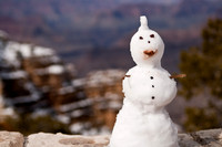 Mr Snowman and his View