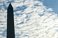 Washington DC