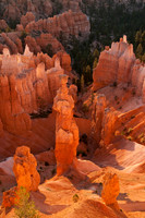 Thors Hammer, Bryce Canyon UT